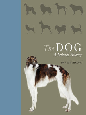 cover image of The Dog